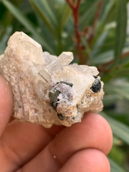 Tourmaline verte/ Verdélite sur cristal de quartz, spécimen naturel de 47 x 40 x 36 mm - 38,7 grammes environ. Magnifique pièce de verdélite au milieu de cristaux de quartz facettés !