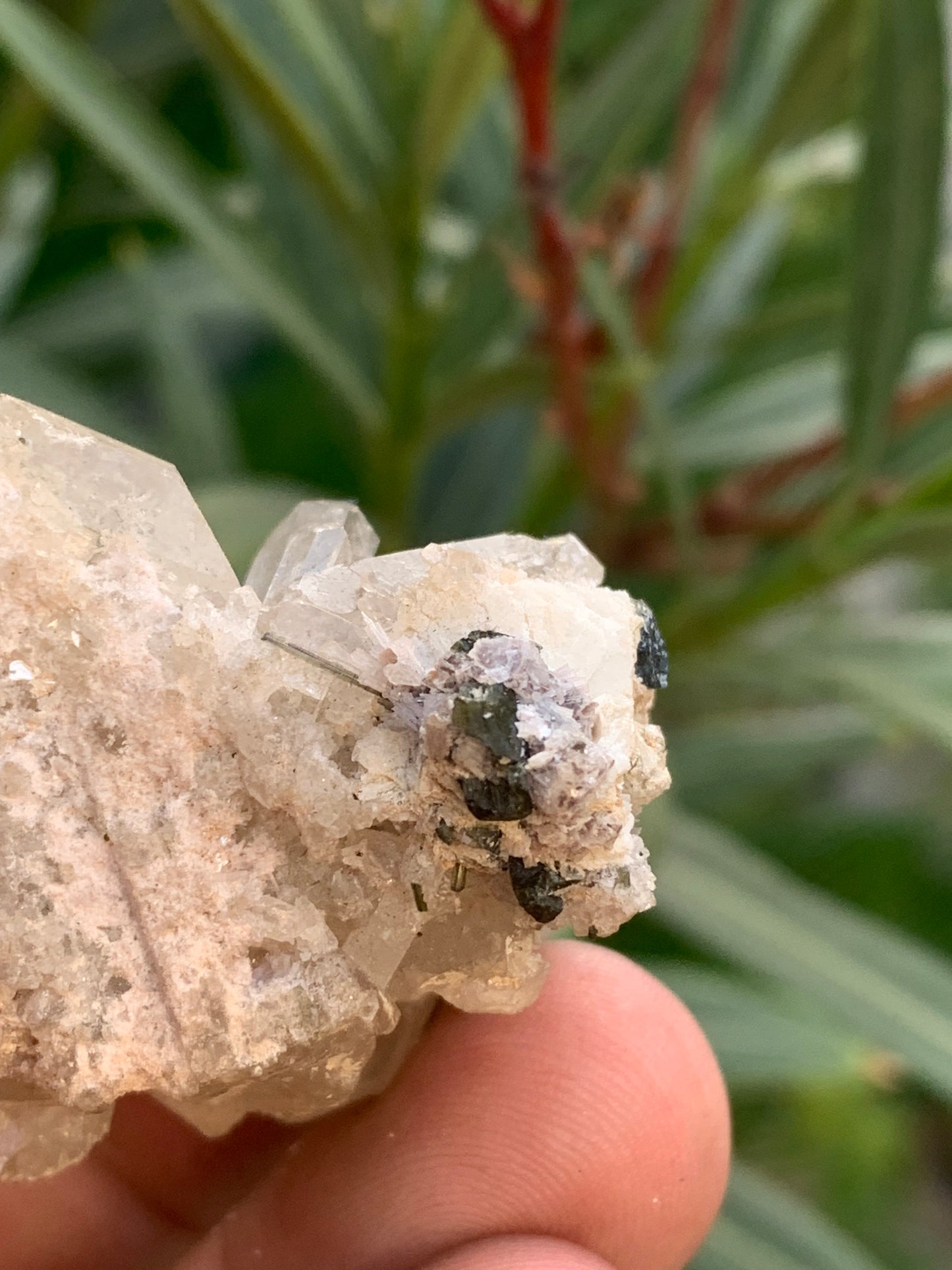 Tourmaline verte/ Verdélite sur cristal de quartz, spécimen naturel de 47 x 40 x 36 mm - 38,7 grammes environ. Magnifique pièce de verdélite au milieu de cristaux de quartz facettés !