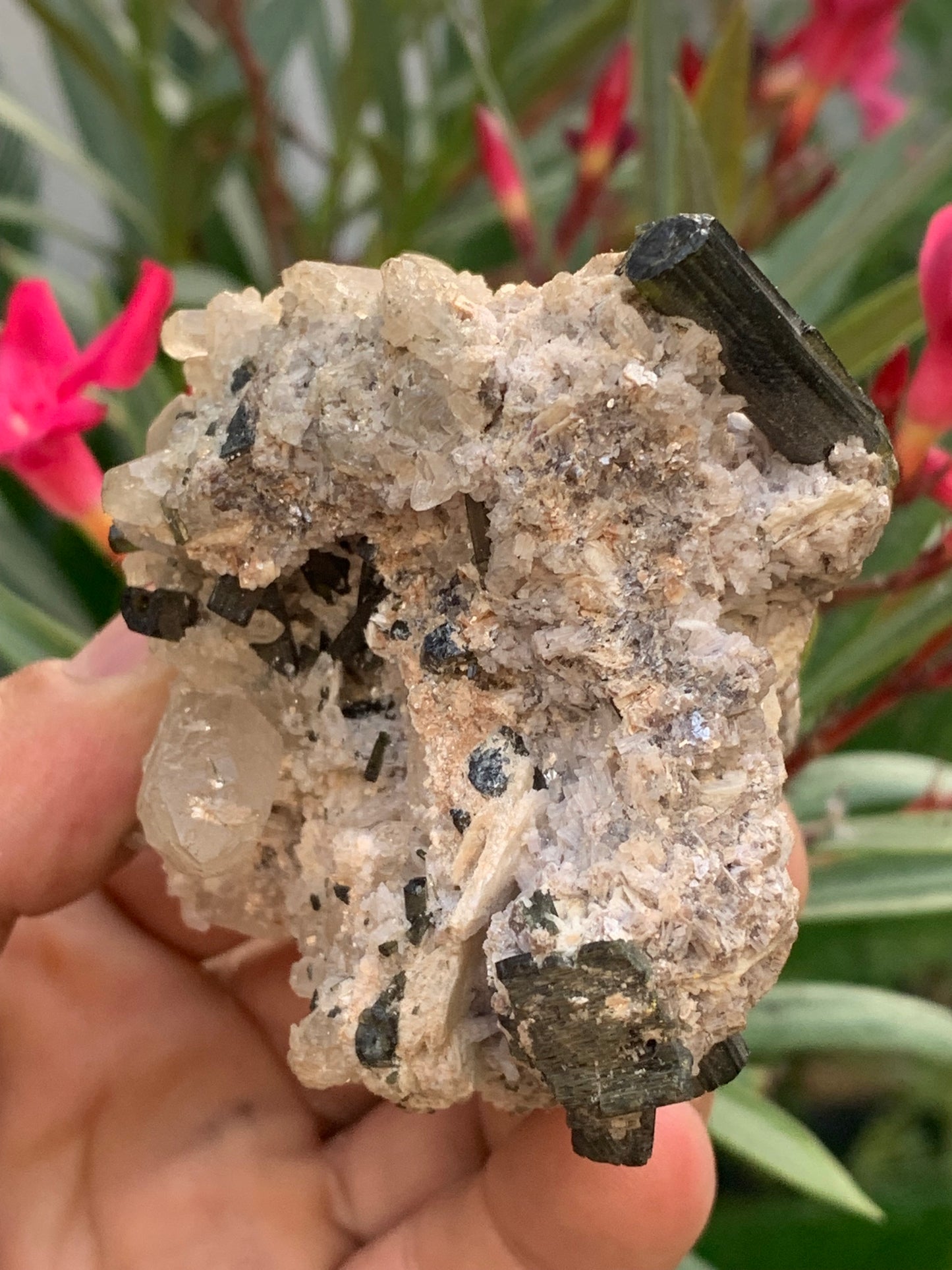Tourmaline verte/ Verdélite sur cristal de quartz, spécimen naturel de 80 x 62 x 60 mm - 267 grammes environ. D’innombrables cristaux sur macle !