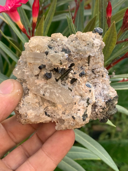 Tourmaline verte/ Verdélite sur cristal de quartz, spécimen naturel de 80 x 62 x 60 mm - 267 grammes environ. D’innombrables cristaux sur macle !
