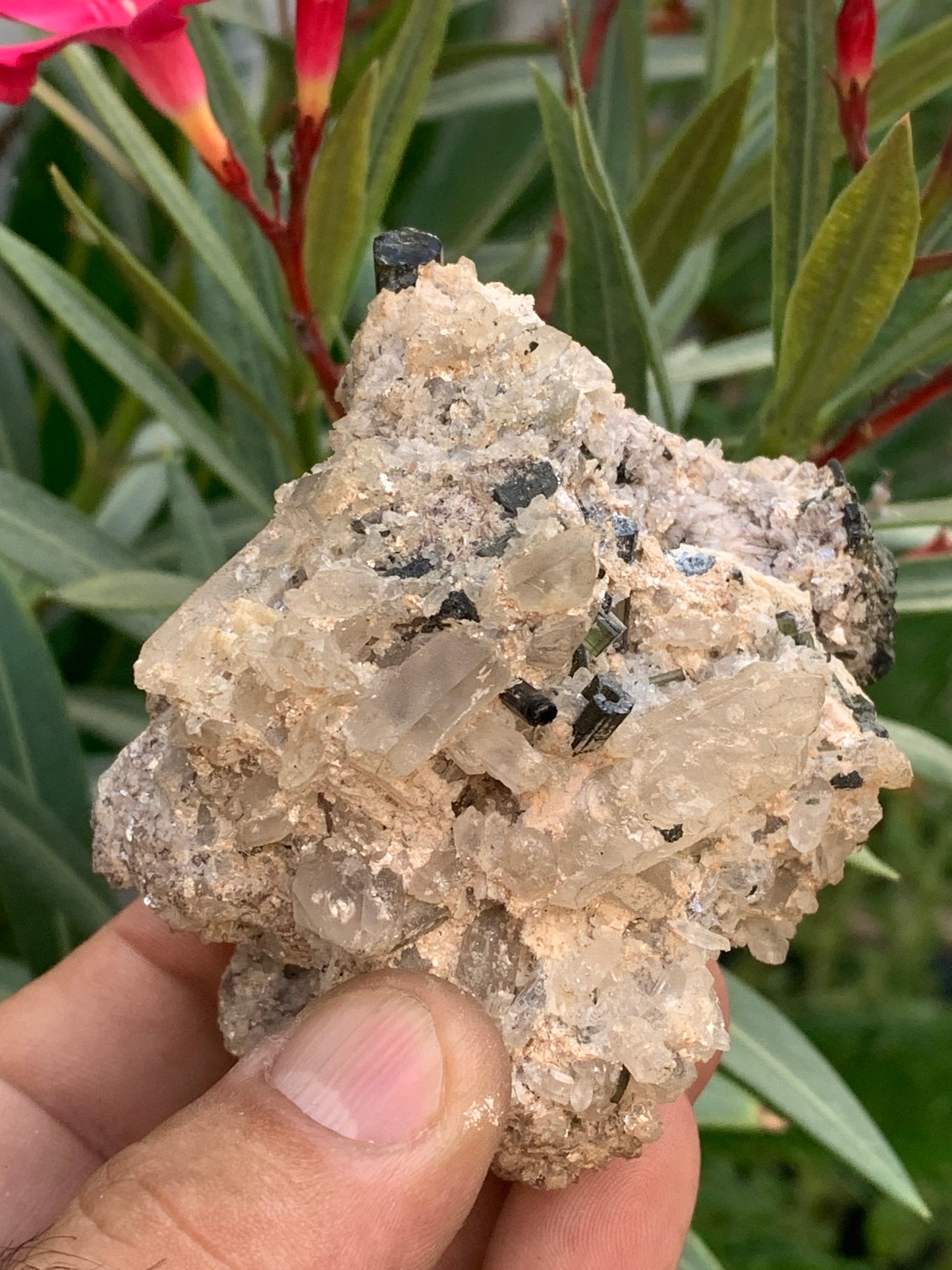 Tourmaline verte/ Verdélite sur cristal de quartz, spécimen naturel de 80 x 62 x 60 mm - 267 grammes environ. D’innombrables cristaux sur macle !