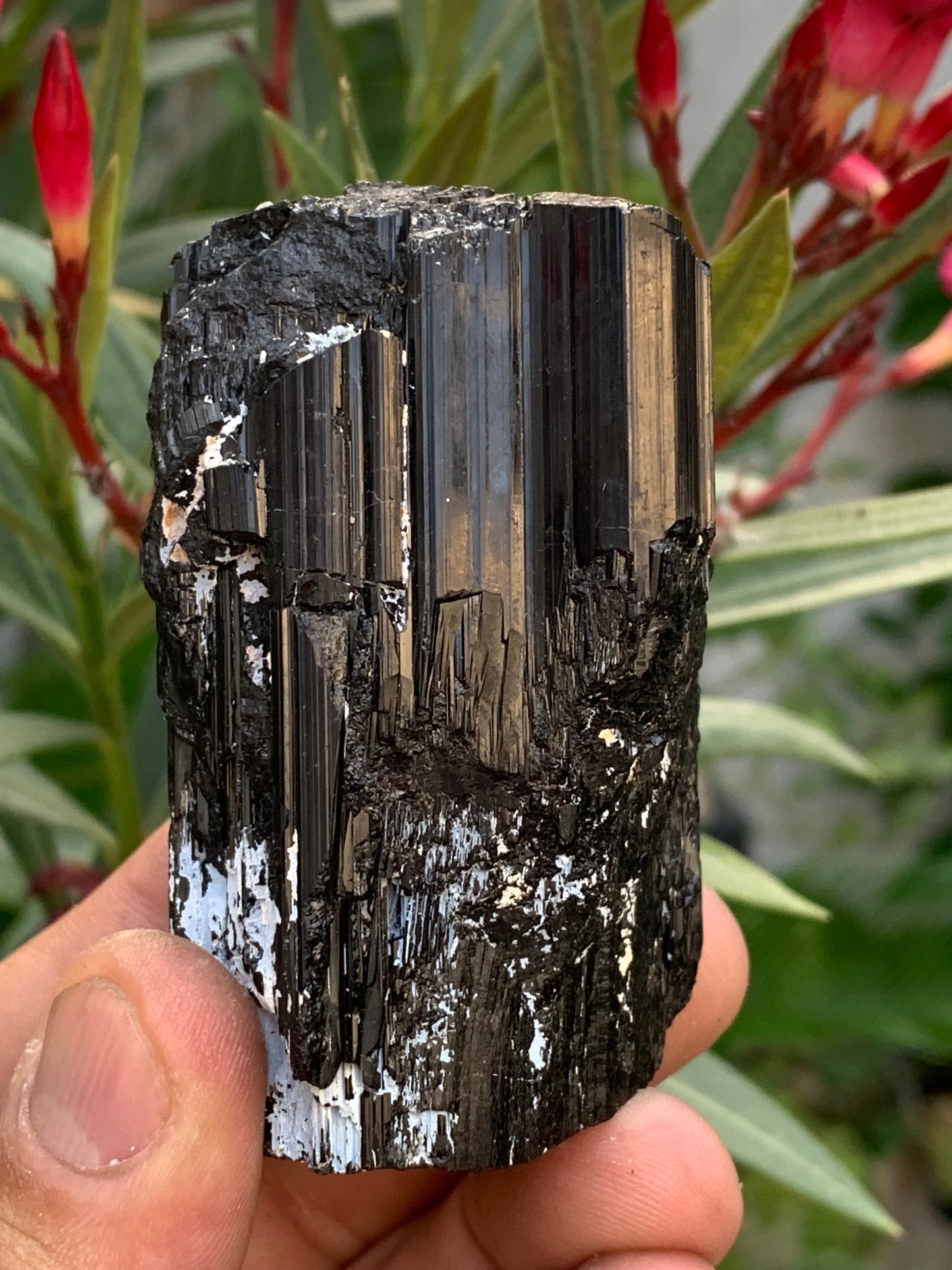 Black tourmaline, natural specimen measuring 65 x 49 x 45 mm - 248.2 grams. A very beautiful tourmaline block! 