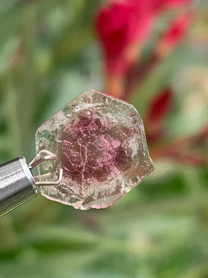 Tourmaline melon d'eau/ pastèque, vendu par paire, 14mm de diamètre x 2 - 8,5 carats. Parfait en bijouterie, collection ,exposition...