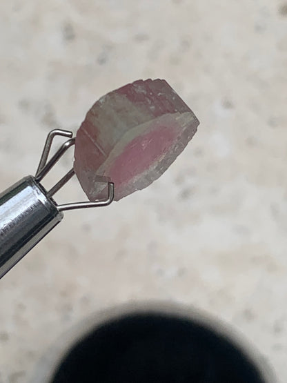 Tourmaline melon d'eau/ pastèque, vendu par paire, 14mm de diamètre x 2 - 8,5 carats. Parfait en bijouterie, collection ,exposition...