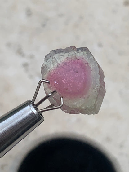 Tourmaline melon d'eau/ pastèque, vendu par paire, 14mm de diamètre x 2 - 8,5 carats. Parfait en bijouterie, collection ,exposition...