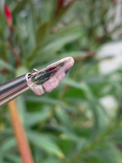 Tourmaline melon d'eau/ pastèque, vendu par paire, 15mm x 14 x 3 - 7 carats. Parfait en bijouterie, collection ,exposition...
