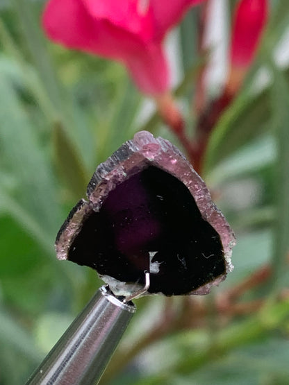 Tourmaline melon d'eau/ pastèque, 18mm x 16 x 4 - 10 carats. Parfait en bijouterie, collection ,exposition...