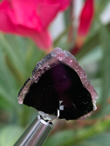 Tourmaline melon d'eau/ pastèque, 18mm x 16 x 4 - 10 carats. Parfait en bijouterie, collection ,exposition...