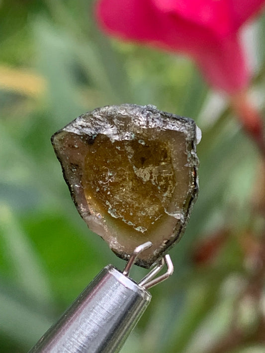 Tourmaline Dravite (brune), vendu par paire, 14mm x 12 x 3 - 10 carats. Parfait en bijouterie, collection ,exposition...