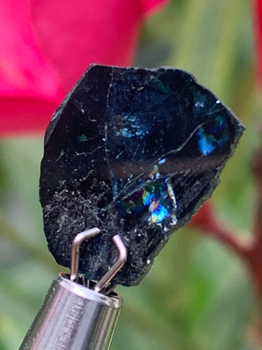 Tourmaline/ Indicolite, de 14mm x11 x 3 environ - 4,5 carats. Parfait en bijouterie, collection ,exposition...