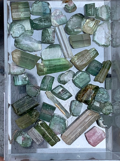 Tourmaline diverses (Verdélite, Indicolite, Melon d'eau), lot de 46 pièces de 3 à 16 mm - 10 grammes.