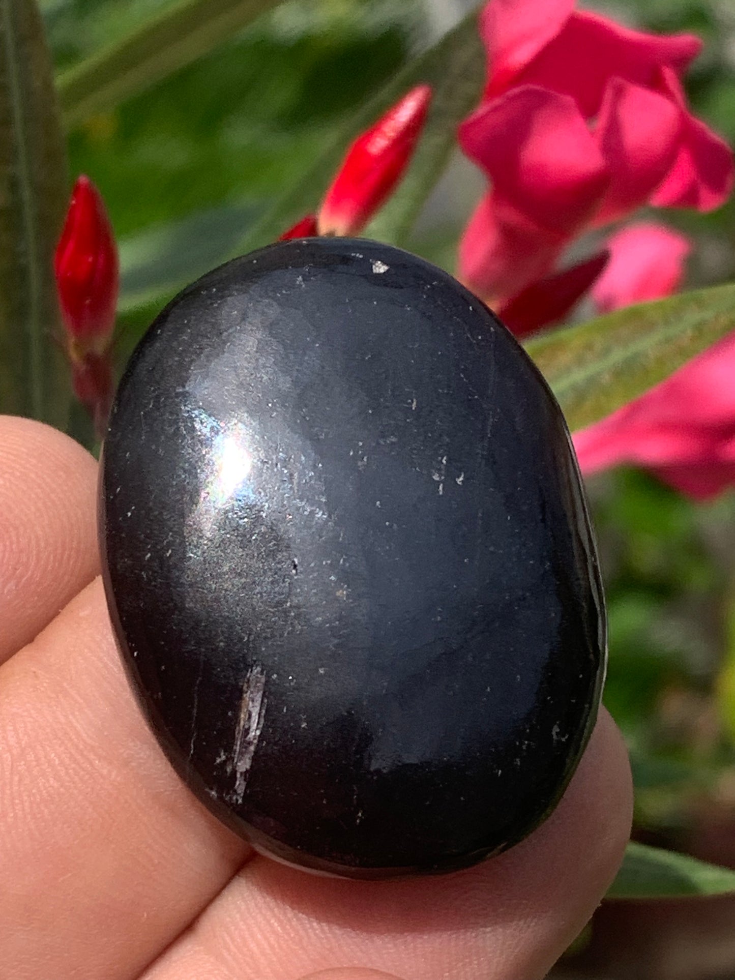 Tourmaline noire, galet de massage de 40 x 30 x 10 mm - 18,5 grammes. Beau galet incurvé pour massage ou pour la poche !