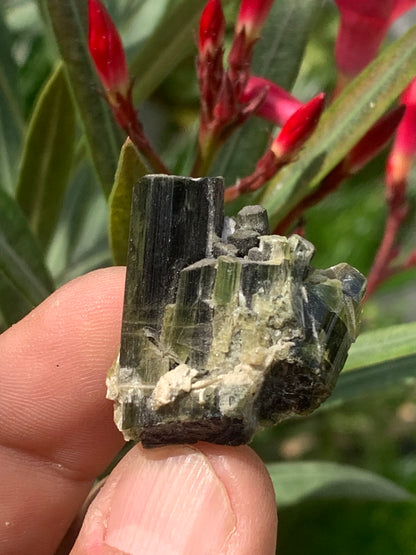 Tourmaline verte/ Verdélite, macle de cristaux naturels de 30 x 30 x 20 mm - 15,9 grammes. Magnifique petite pièce !