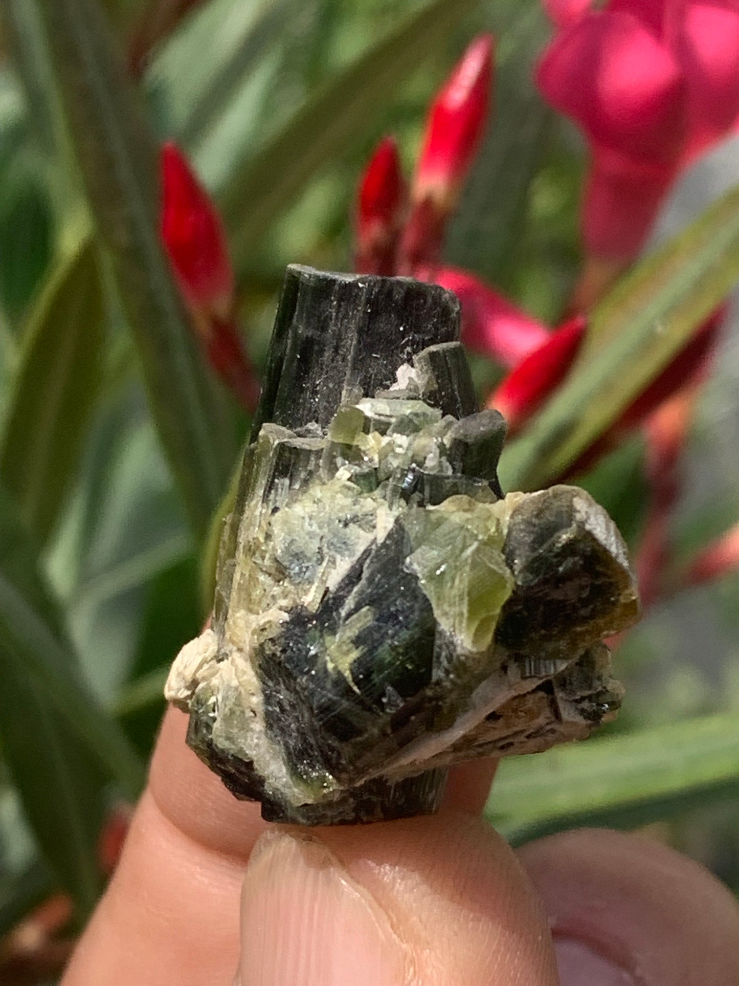 Tourmaline verte/ Verdélite, macle de cristaux naturels de 30 x 30 x 20 mm - 15,9 grammes. Magnifique petite pièce !