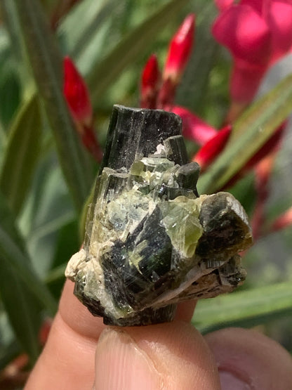 Tourmaline verte/ Verdélite, macle de cristaux naturels de 30 x 30 x 20 mm - 15,9 grammes. Magnifique petite pièce !