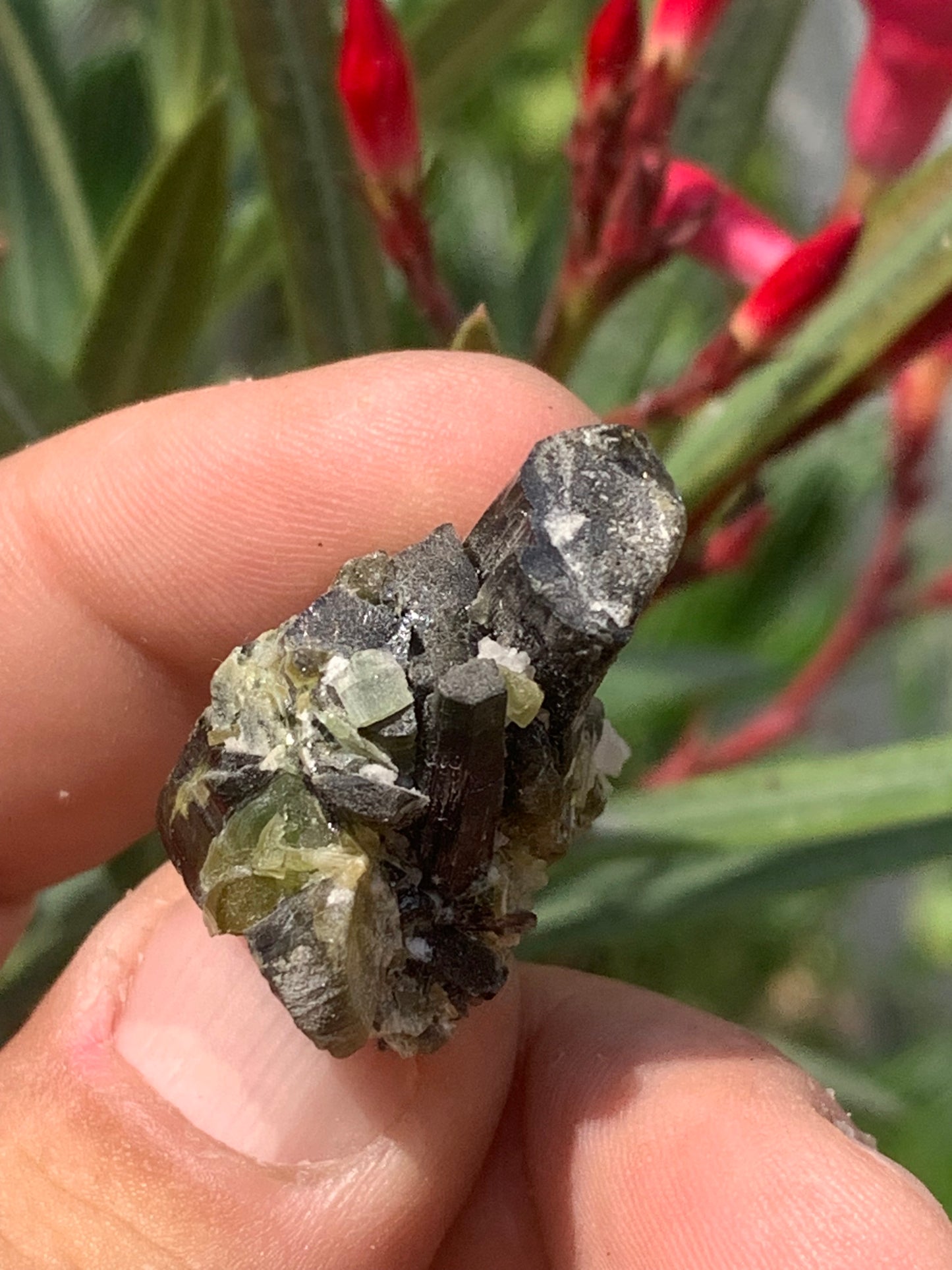 Tourmaline verte/ Verdélite, macle de cristaux naturels de 30 x 30 x 20 mm - 15,9 grammes. Magnifique petite pièce !