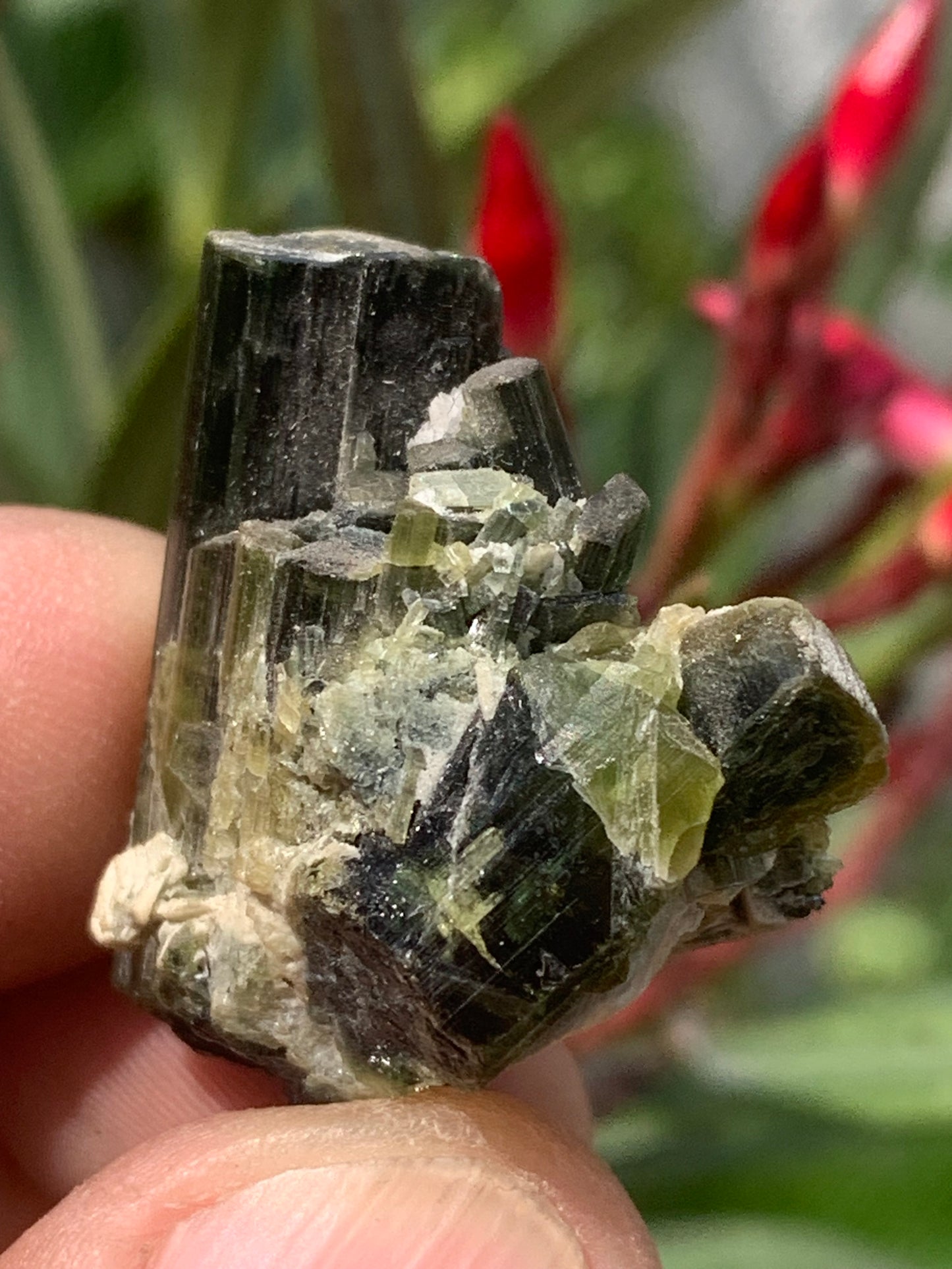 Tourmaline verte/ Verdélite, macle de cristaux naturels de 30 x 30 x 20 mm - 15,9 grammes. Magnifique petite pièce !