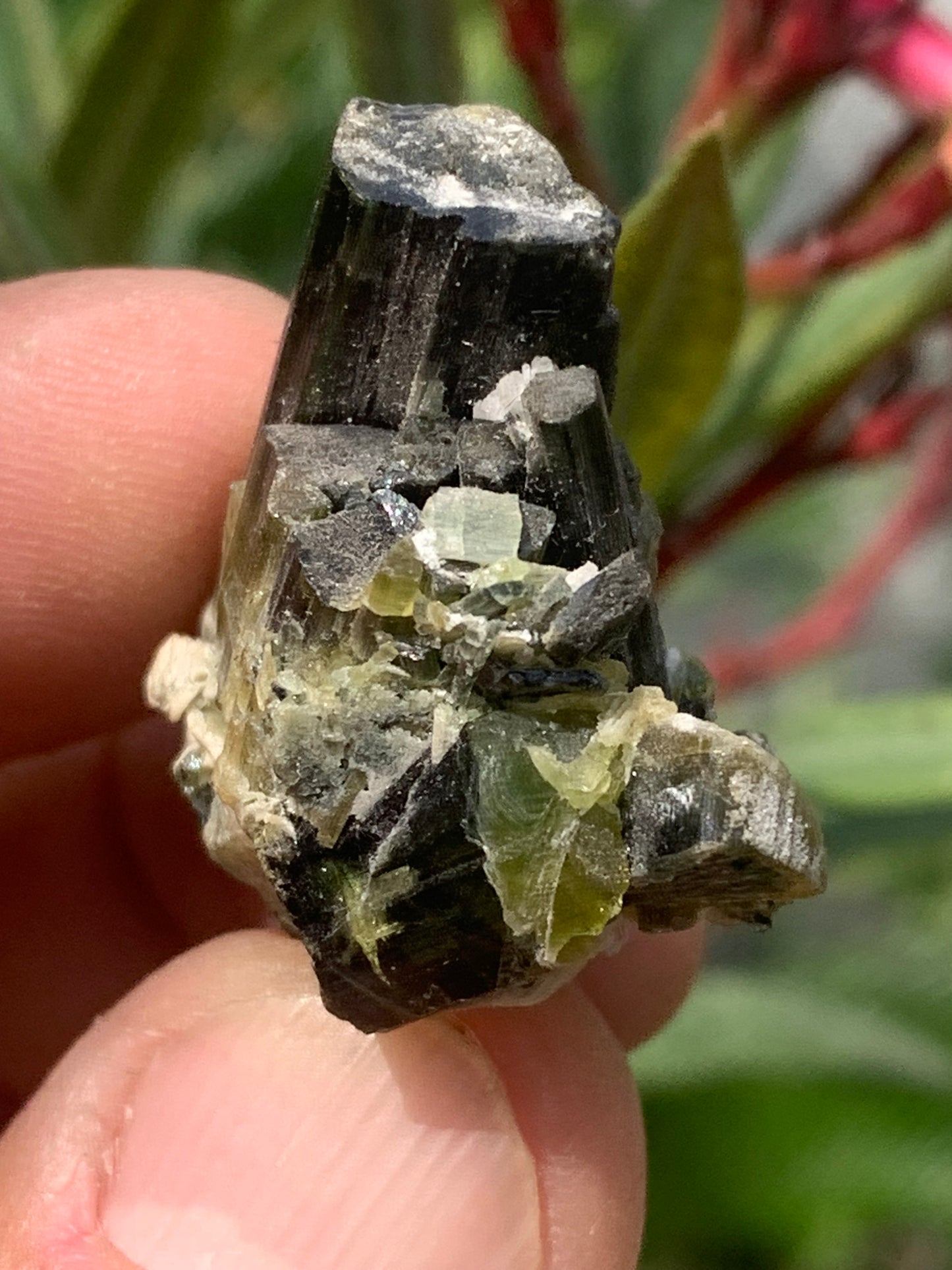 Tourmaline verte/ Verdélite, macle de cristaux naturels de 30 x 30 x 20 mm - 15,9 grammes. Magnifique petite pièce !