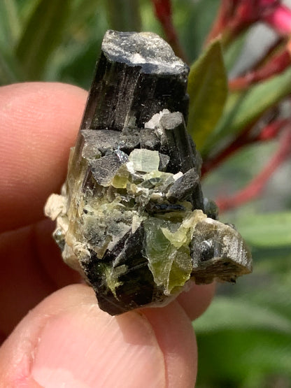 Tourmaline verte/ Verdélite, macle de cristaux naturels de 30 x 30 x 20 mm - 15,9 grammes. Magnifique petite pièce !