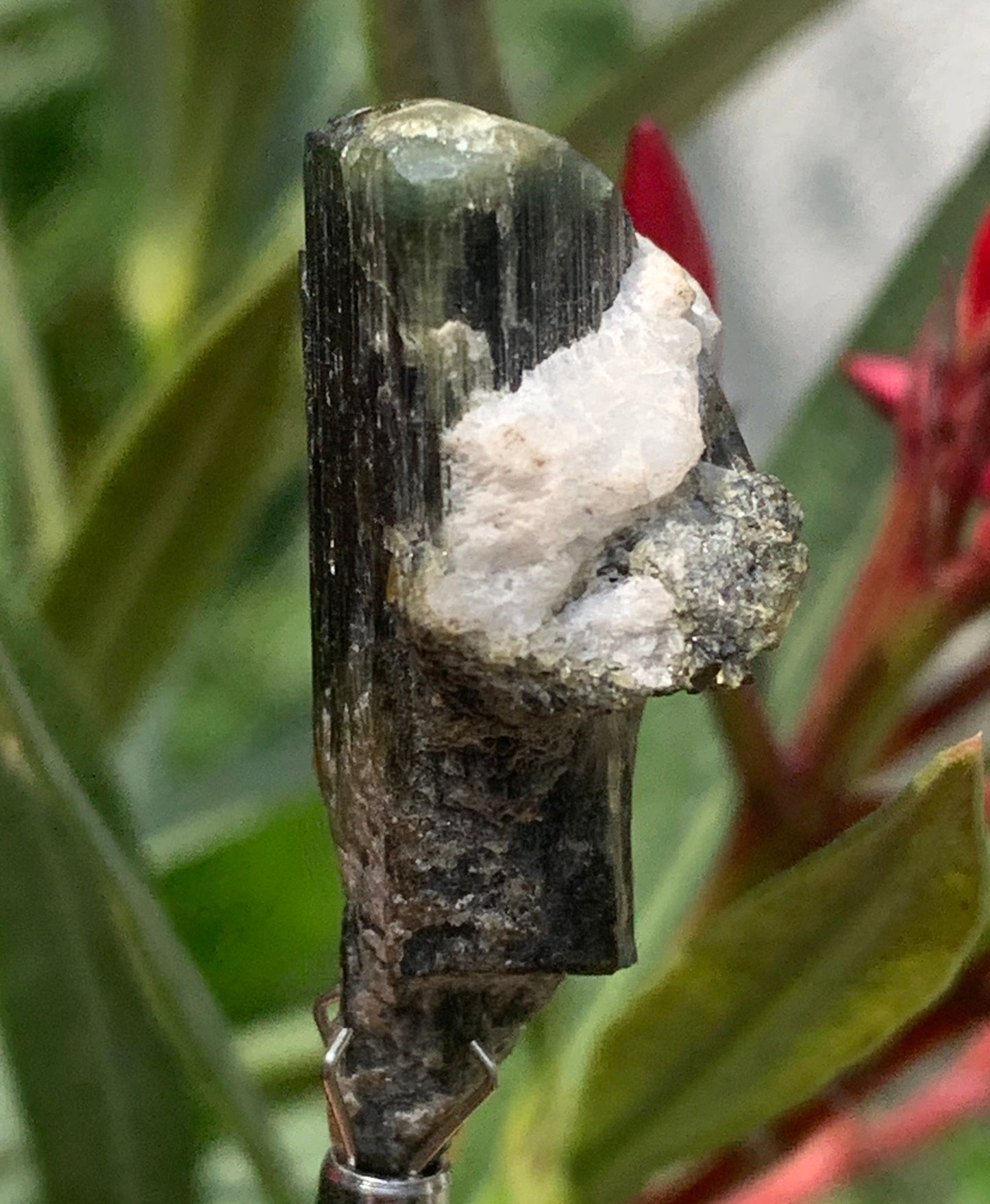 Tourmaline verte/ Verdélite, cristal naturel de 37 x 17 x 15 mm - 9,6 grammes. Magnifique petite pièce !