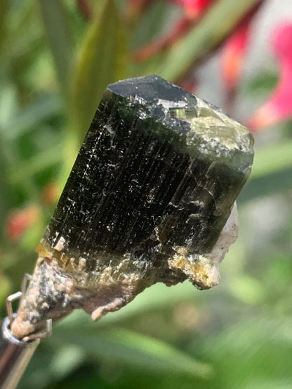 Tourmaline verte/ Verdélite, cristal naturel de 37 x 17 x 15 mm - 9,6 grammes. Magnifique petite pièce !