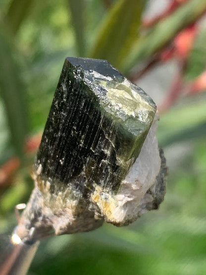 Tourmaline verte/ Verdélite, cristal naturel de 37 x 17 x 15 mm - 9,6 grammes. Magnifique petite pièce !