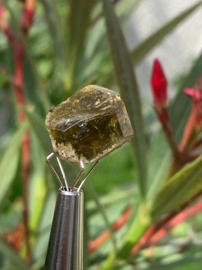 Tourmaline verte/ Verdélite, cristal naturel de 15 x 12 x 10 mm - 2,7 grammes. Magnifique cristal au vert cristal !
