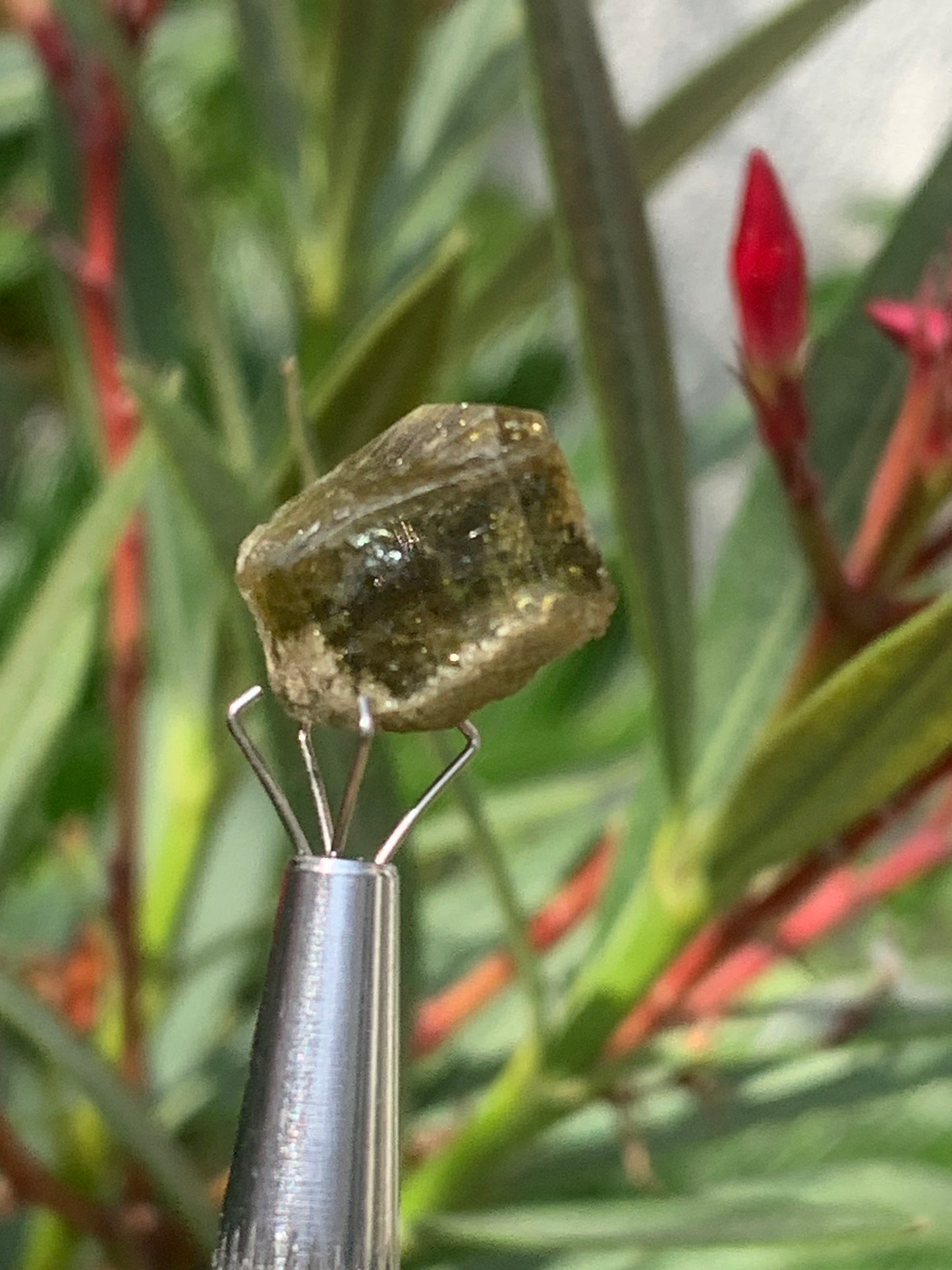 Tourmaline verte/ Verdélite, cristal naturel de 15 x 12 x 10 mm - 2,7 grammes. Magnifique cristal au vert cristal !