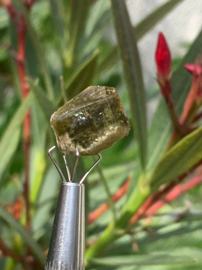 Tourmaline verte/ Verdélite, cristal naturel de 15 x 12 x 10 mm - 2,7 grammes. Magnifique cristal au vert cristal !