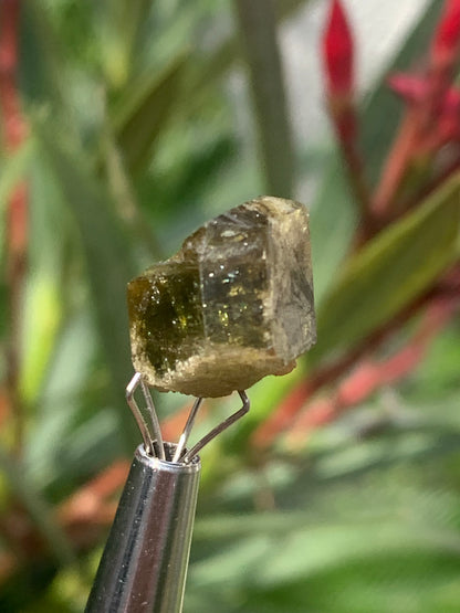 Tourmaline verte/ Verdélite, cristal naturel de 15 x 12 x 10 mm - 2,7 grammes. Magnifique cristal au vert cristal !