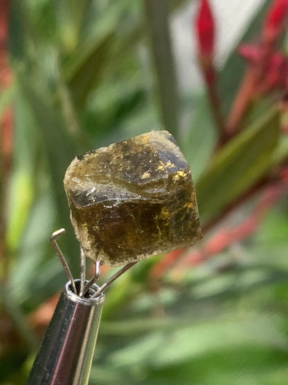 Tourmaline verte/ Verdélite, cristal naturel de 15 x 12 x 10 mm - 2,7 grammes. Magnifique cristal au vert cristal !