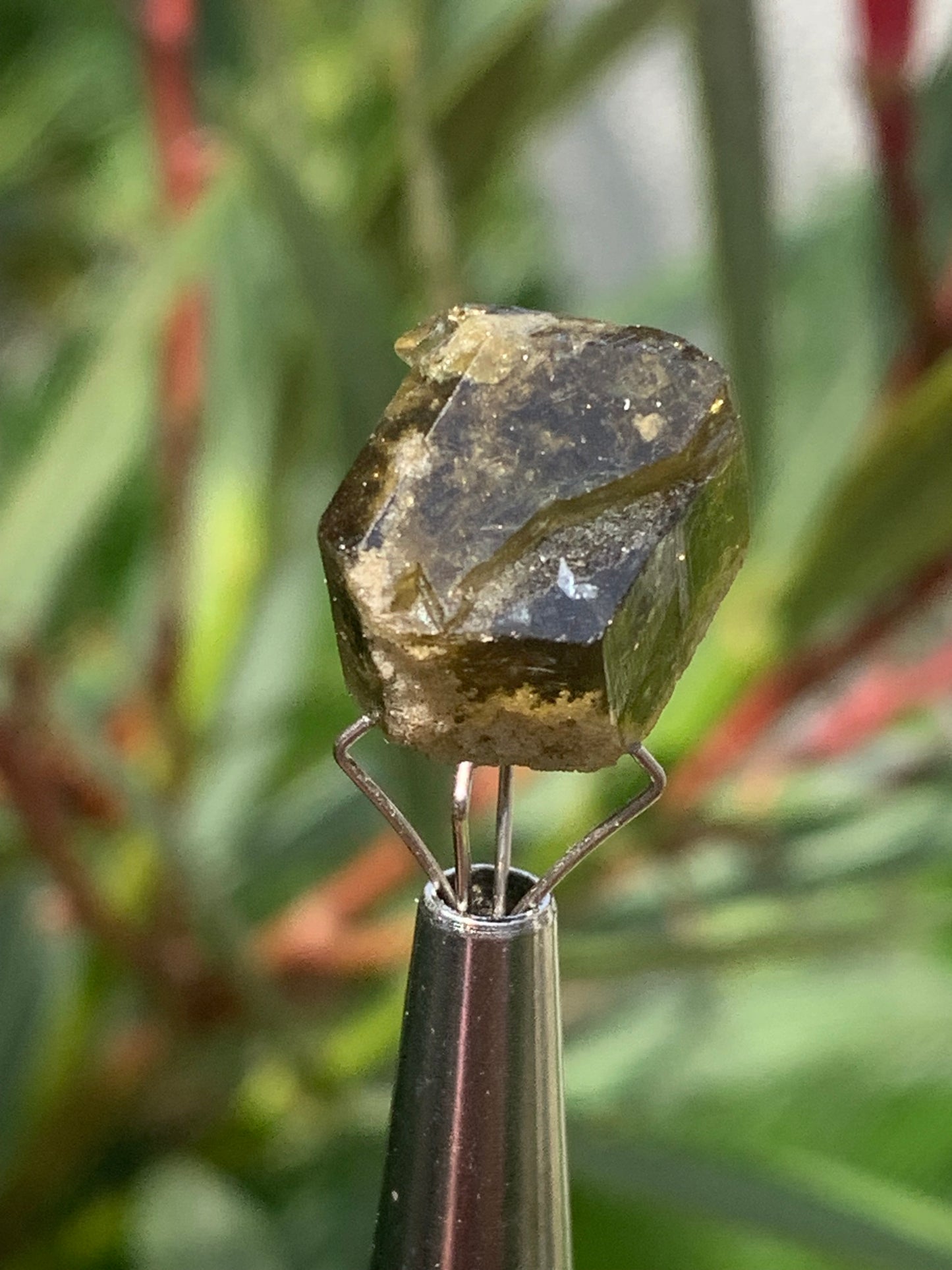 Tourmaline verte/ Verdélite, cristal naturel de 15 x 12 x 10 mm - 2,7 grammes. Magnifique cristal au vert cristal !