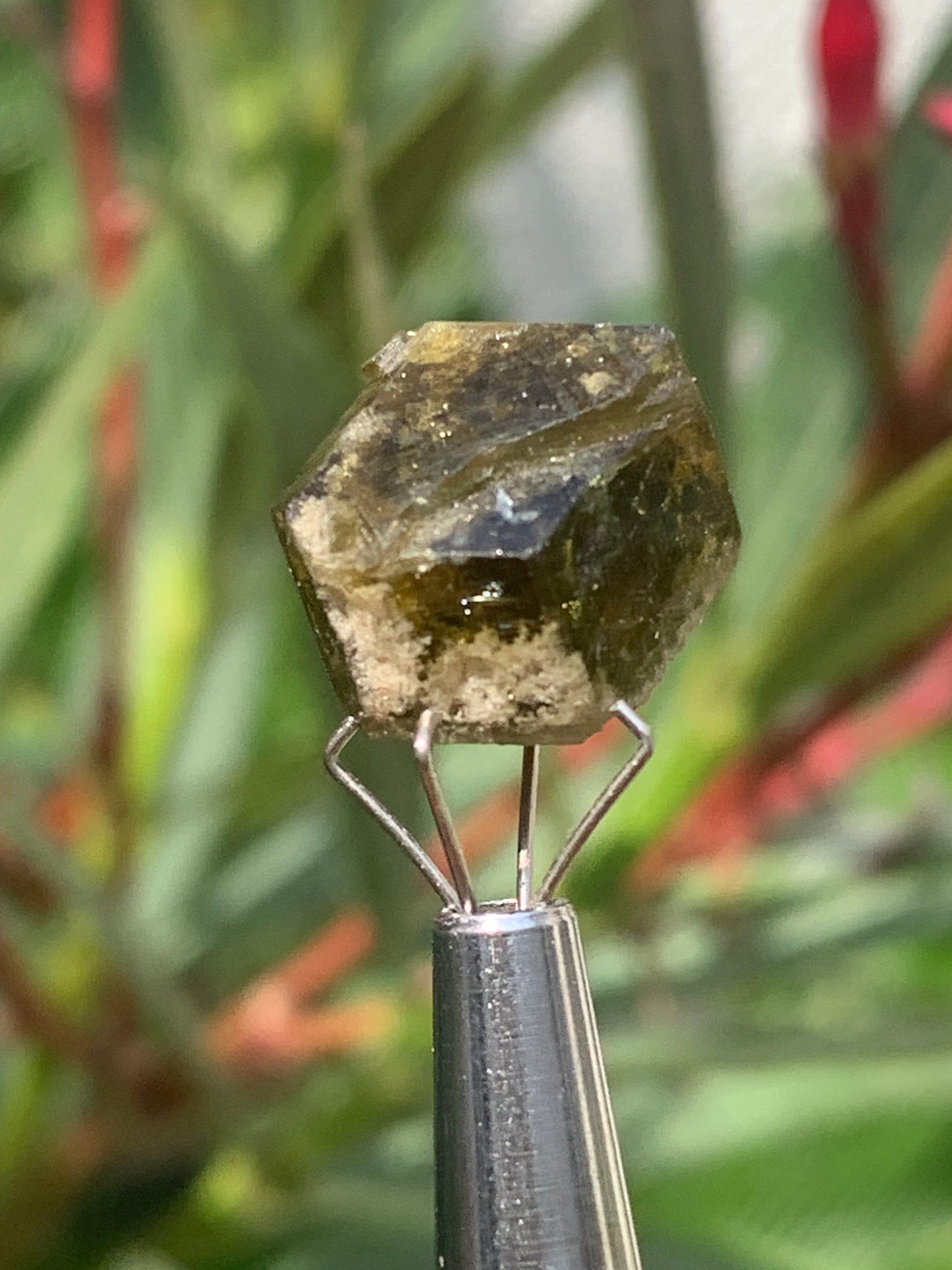 Tourmaline verte/ Verdélite, cristal naturel de 15 x 12 x 10 mm - 2,7 grammes. Magnifique cristal au vert cristal !