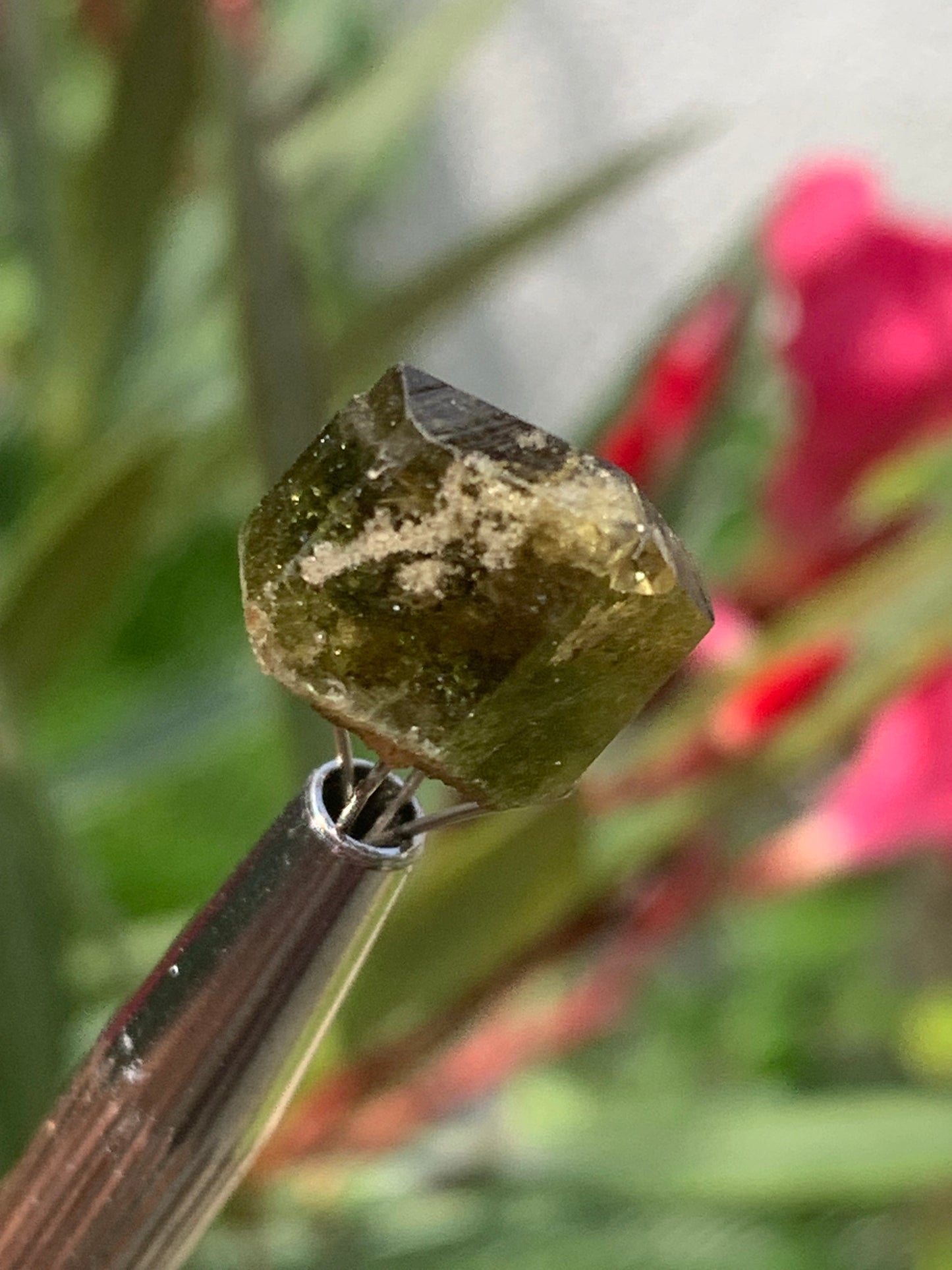 Tourmaline verte/ Verdélite, cristal naturel de 15 x 12 x 10 mm - 2,7 grammes. Magnifique cristal au vert cristal !