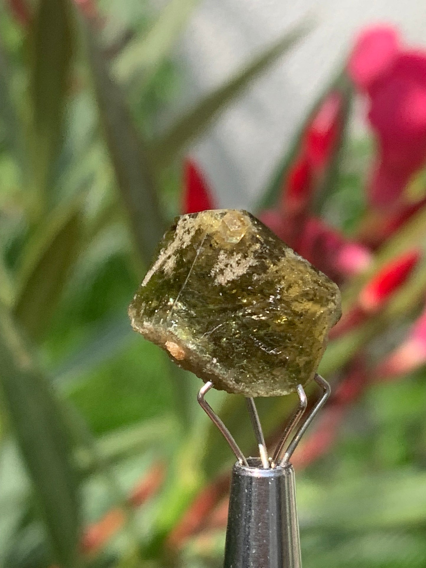 Tourmaline verte/ Verdélite, cristal naturel de 15 x 12 x 10 mm - 2,7 grammes. Magnifique cristal au vert cristal !
