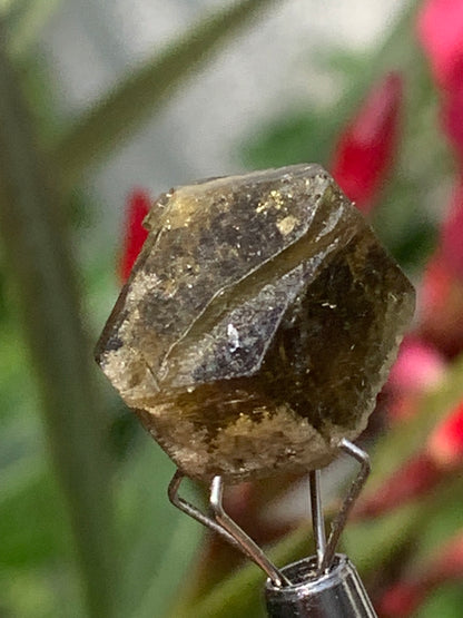 Tourmaline verte/ Verdélite, cristal naturel de 15 x 12 x 10 mm - 2,7 grammes. Magnifique cristal au vert cristal !