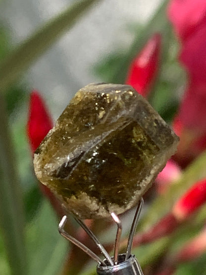 Tourmaline verte/ Verdélite, cristal naturel de 15 x 12 x 10 mm - 2,7 grammes. Magnifique cristal au vert cristal !