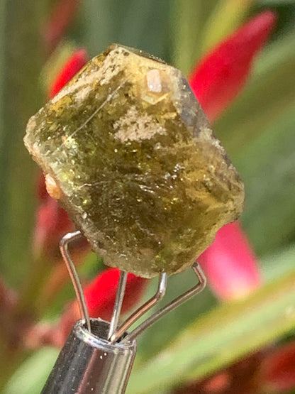 Tourmaline verte/ Verdélite, cristal naturel de 15 x 12 x 10 mm - 2,7 grammes. Magnifique cristal au vert cristal !