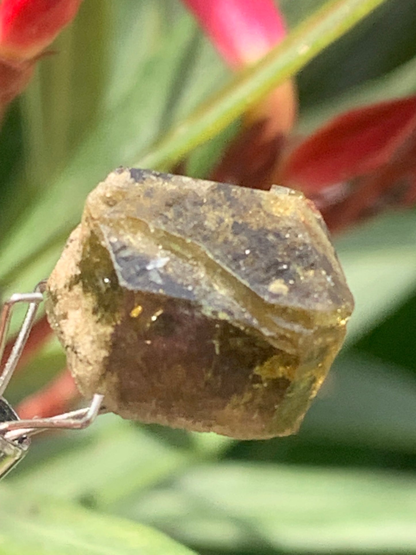 Tourmaline verte/ Verdélite, cristal naturel de 15 x 12 x 10 mm - 2,7 grammes. Magnifique cristal au vert cristal !