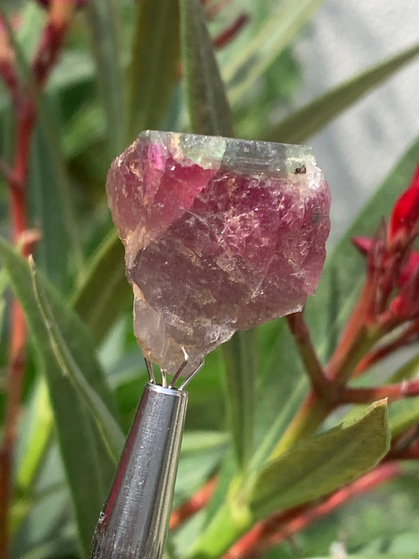 Rubellite Tourmaline, 24 x 20 x 13mm - 7.3 grams. A beautiful natural piece! 
