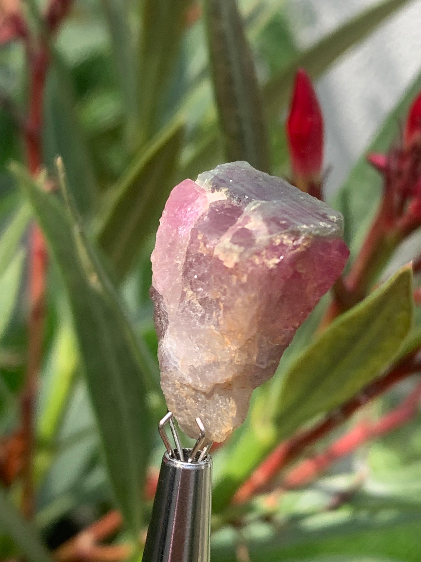Rubellite Tourmaline, 24 x 20 x 13mm - 7.3 grams. A beautiful natural piece! 