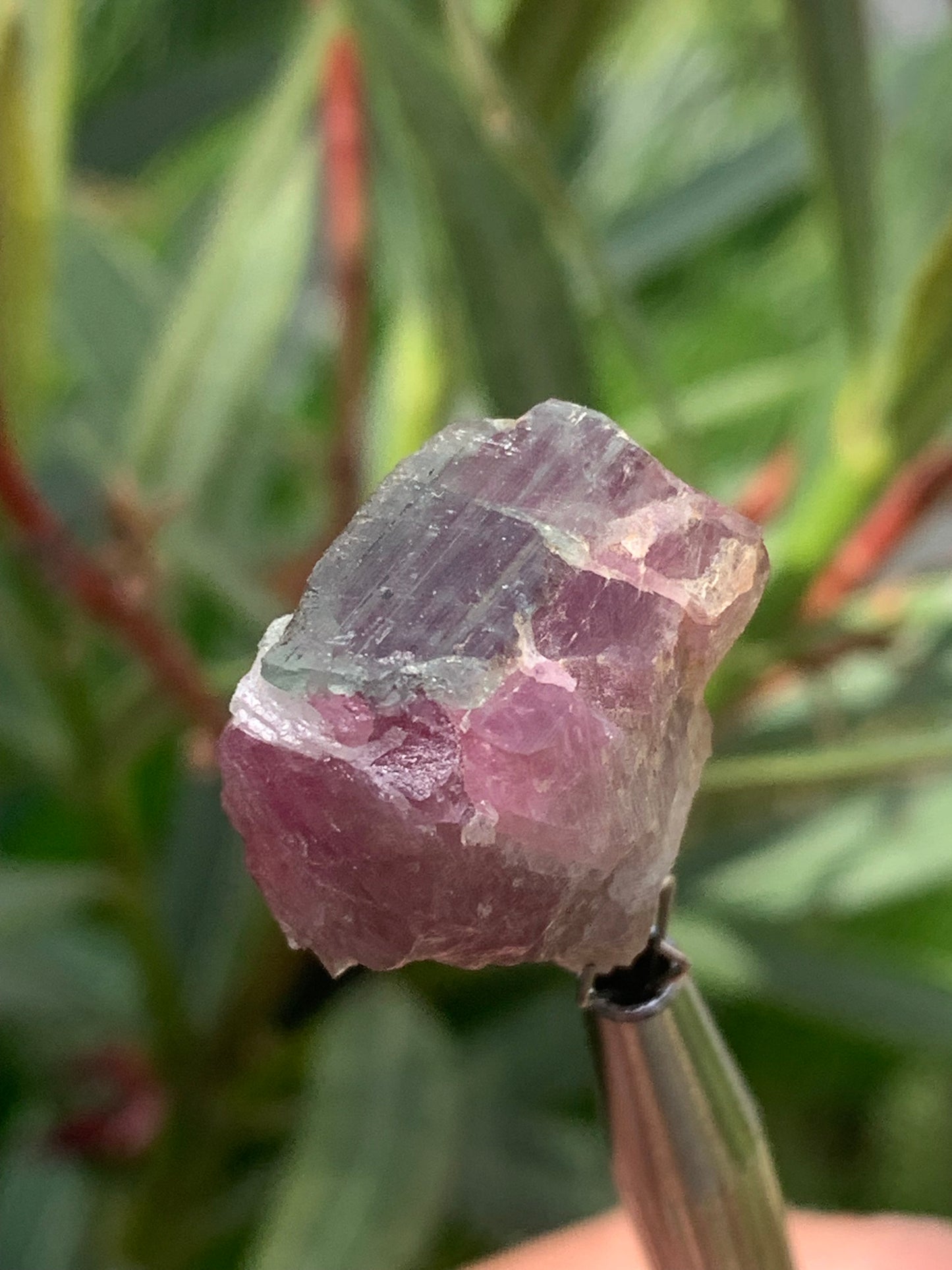 Rubellite Tourmaline, 24 x 20 x 13mm - 7.3 grams. A beautiful natural piece! 