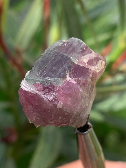 Rubellite Tourmaline, 24 x 20 x 13mm - 7.3 grams. A beautiful natural piece! 