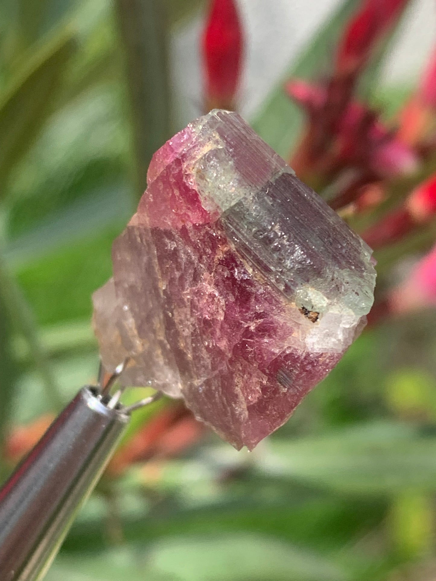 Rubellite Tourmaline, 24 x 20 x 13mm - 7.3 grams. A beautiful natural piece! 
