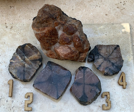 Andalousite/ Chiastolite, 5 pièces au choix dont 4 sciés avec une croix naturelle ! Protection, ancrage, transmutation, harmonie et plus encore !
