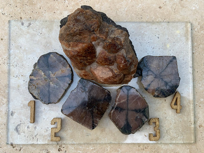 Andalousite/ Chiastolite, 5 pièces au choix dont 4 sciés avec une croix naturelle ! Protection, ancrage, transmutation, harmonie et plus encore !