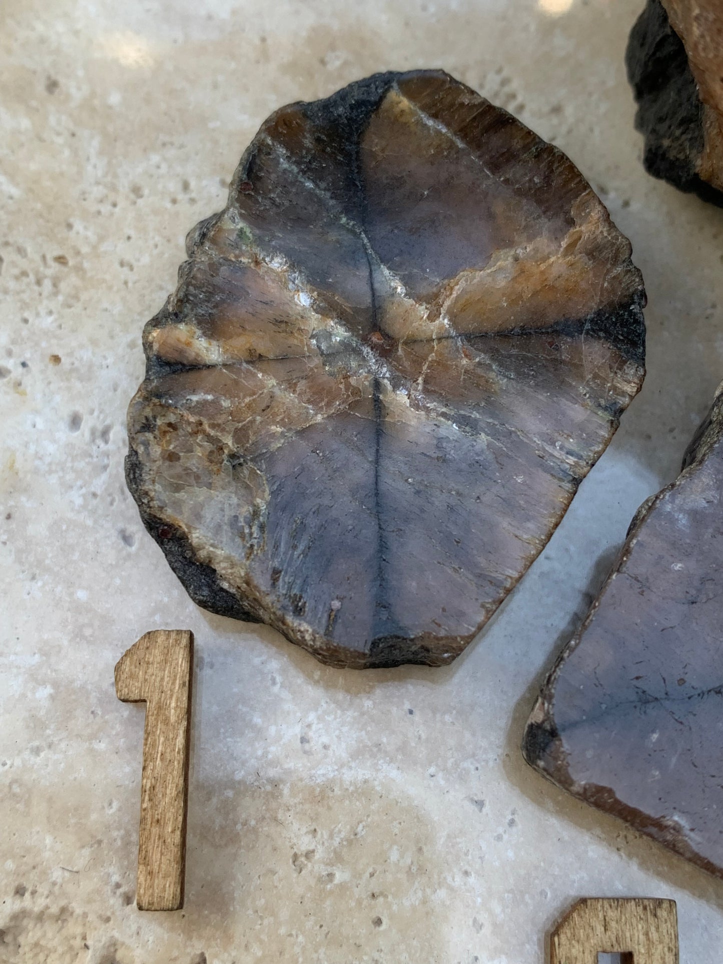 Andalousite/ Chiastolite, 5 pièces au choix dont 4 sciés avec une croix naturelle ! Protection, ancrage, transmutation, harmonie et plus encore !