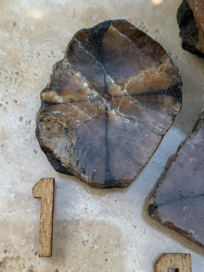 Andalousite/ Chiastolite, 5 pièces au choix dont 4 sciés avec une croix naturelle ! Protection, ancrage, transmutation, harmonie et plus encore !