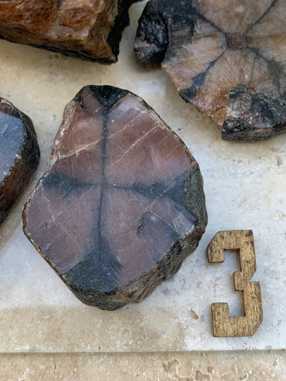 Andalousite/ Chiastolite, 5 pièces au choix dont 4 sciés avec une croix naturelle ! Protection, ancrage, transmutation, harmonie et plus encore !