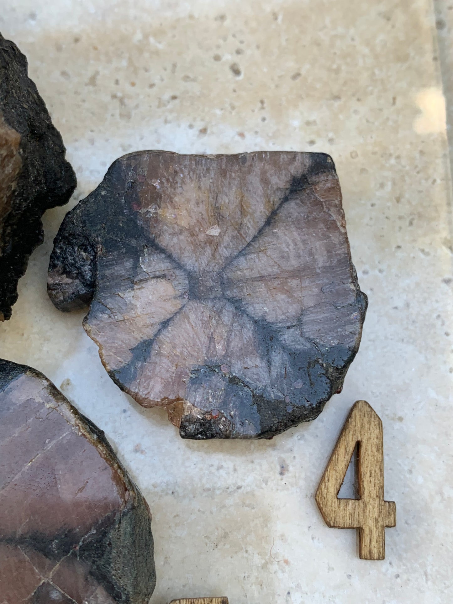 Andalousite/ Chiastolite, 5 pièces au choix dont 4 sciés avec une croix naturelle ! Protection, ancrage, transmutation, harmonie et plus encore !